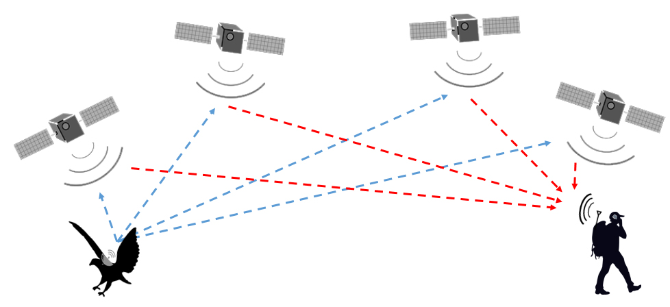 diagram of satellite tags 