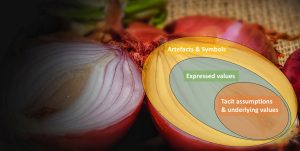 Schein’s Onion Model