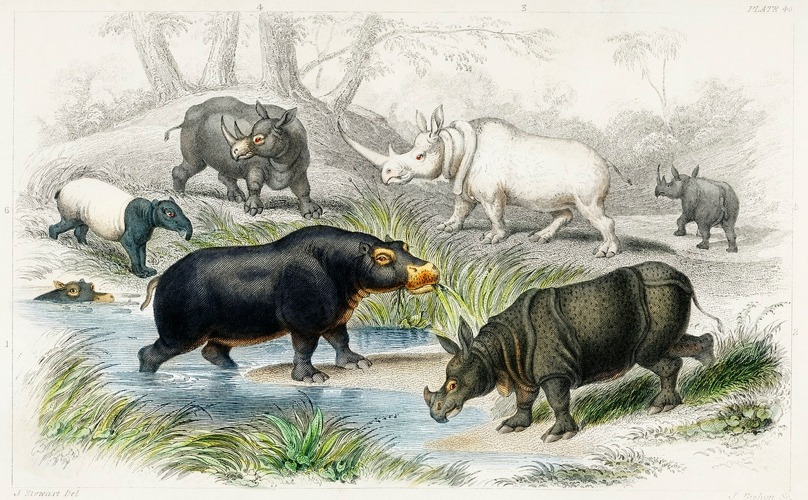 image of a group of animals