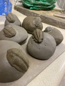 Clay pebbles with a Trilobite perched on top